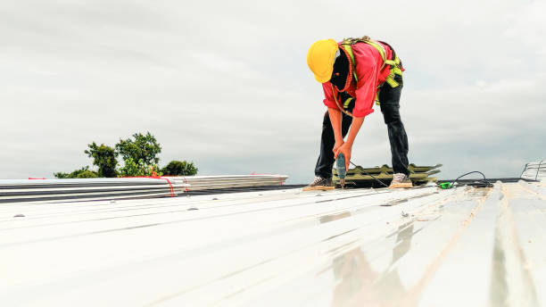 Best Storm Damage Roof Repair  in Langhorne, PA
